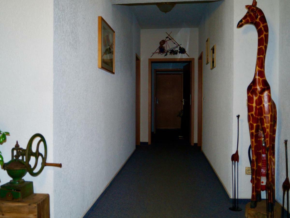 Katzhutte Pension Zum Ritter מראה חיצוני תמונה